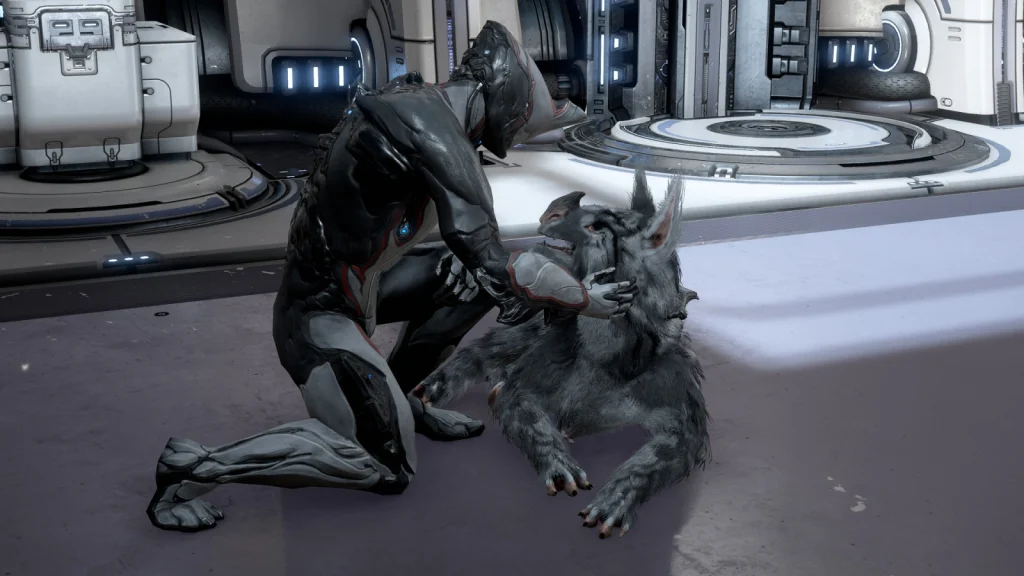Different companions supporting various Warframes in missions